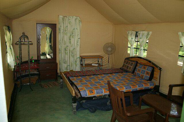 Deep Jungle Polo Cottage, Hyderabad 5